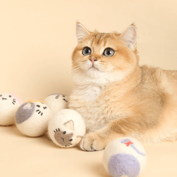 Unleash the Fun: The Pet Tease Cat Ball Interactive Toy