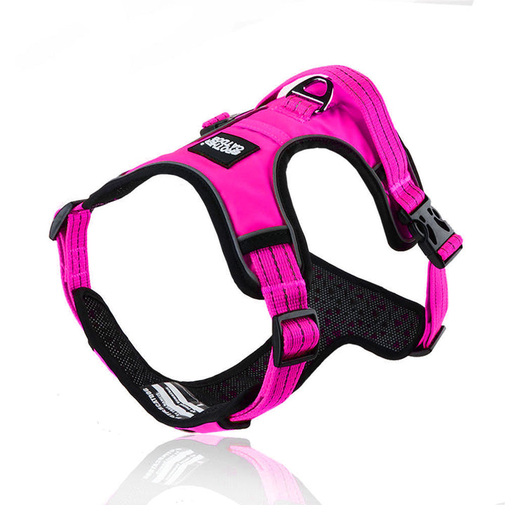 The Ultimate Dog Leash: Safety and Comfort Combined!