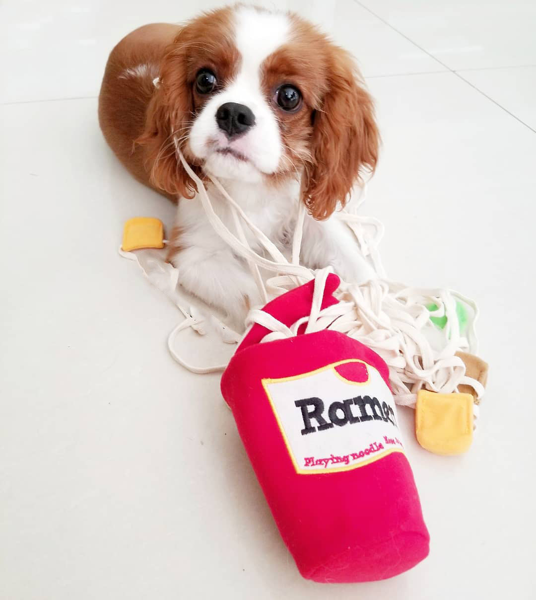 Sniffing Interactive Toy