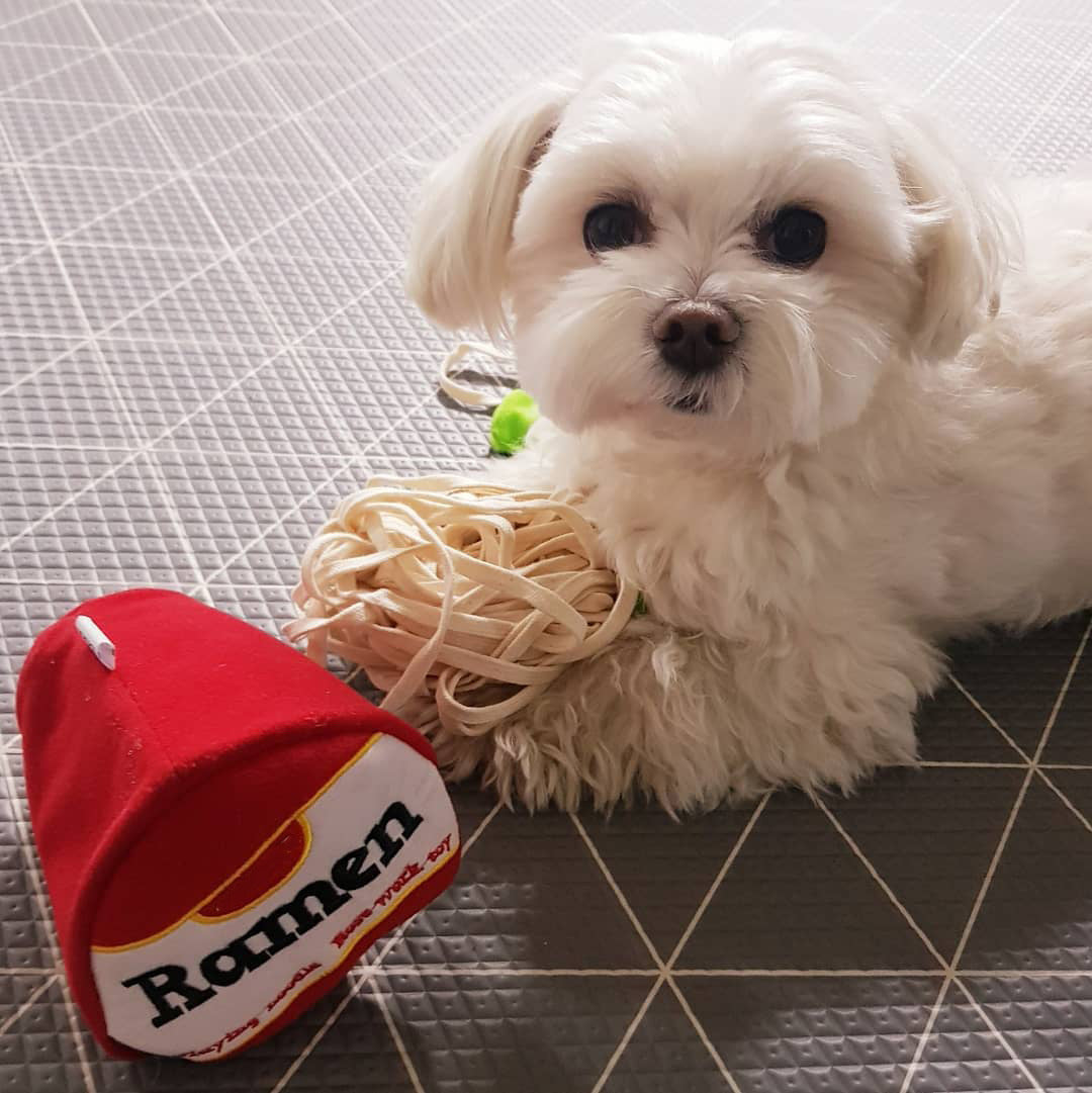 Sniffing Interactive Toy