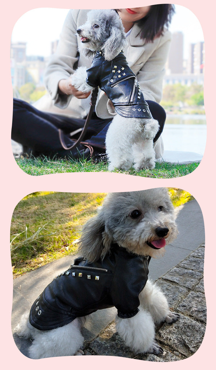 Dog Fashion Brand Clothes