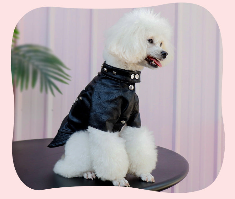 Dog Fashion Brand Clothes