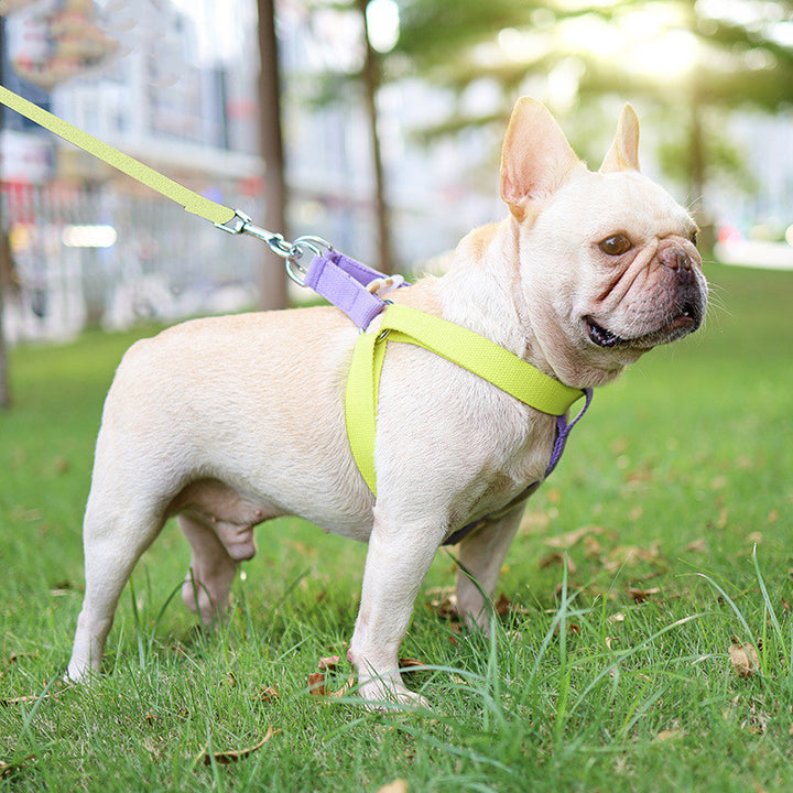 Pet Leash Vest-style Dog