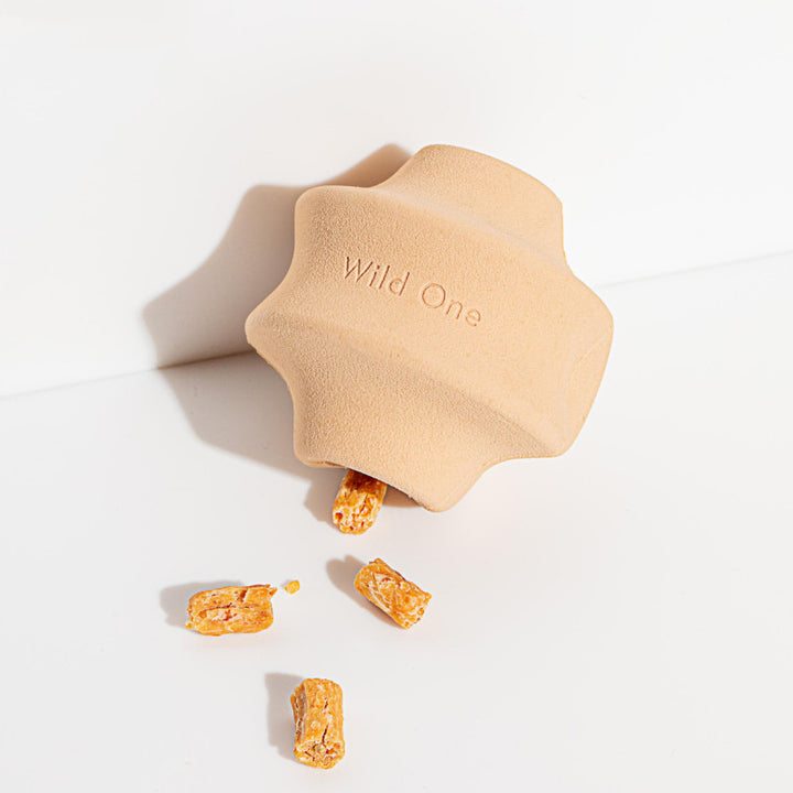 Pet Gum Leaking Food Toy
