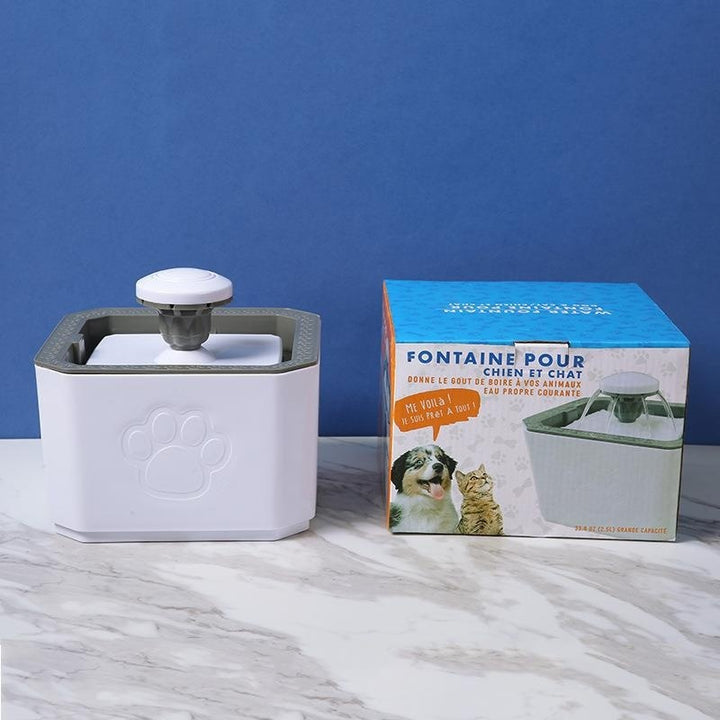 Pet Cat Water Feeder