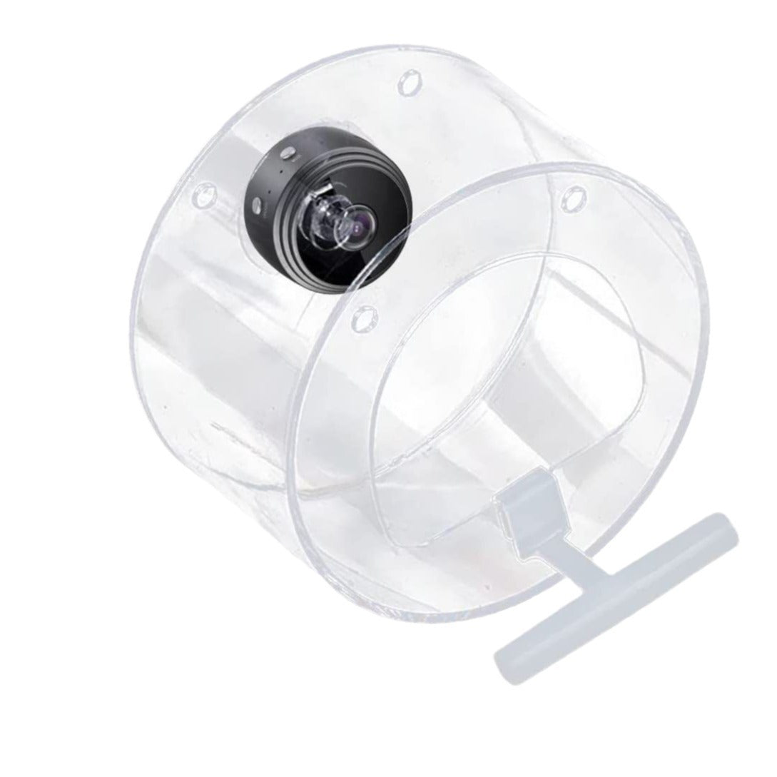 Pet Smart Feeder Outdoor