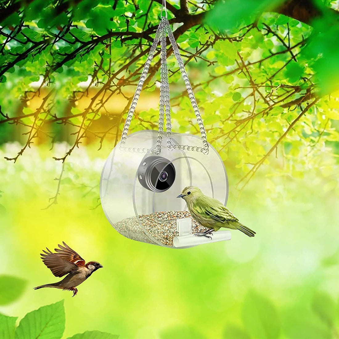 Pet Smart Feeder Outdoor