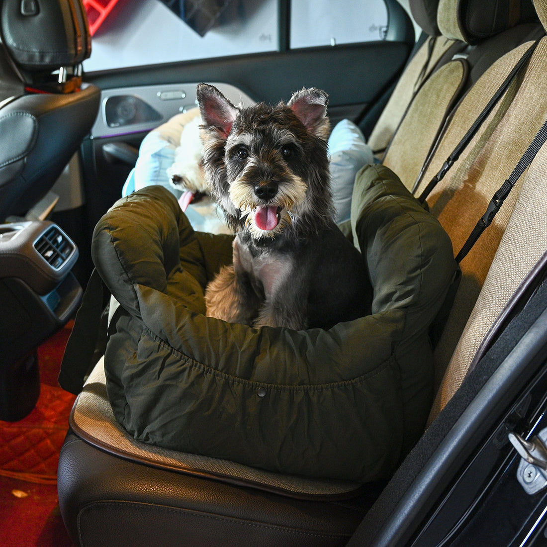 Pet Go Out Portable Car Kennel