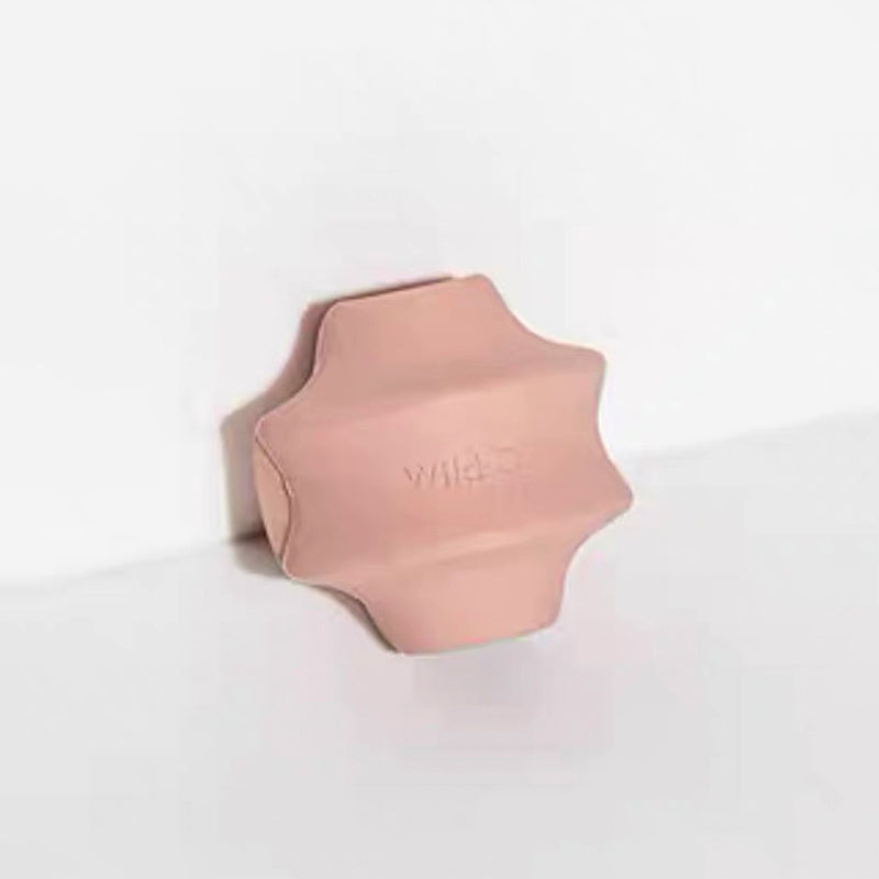 Pet Gum Leaking Food Toy