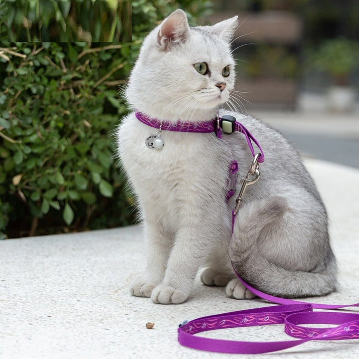 Pet Cat Bell Chest Strap Rope