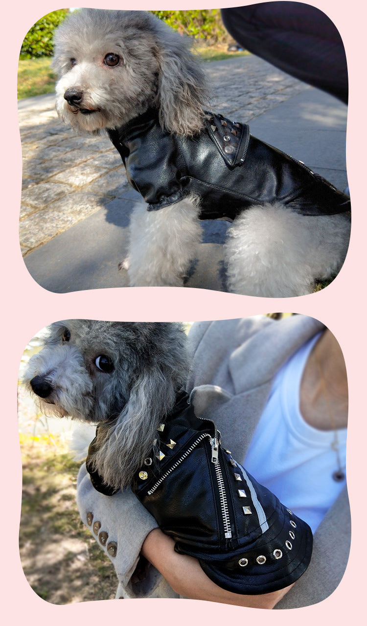 Dog Fashion Brand Clothes