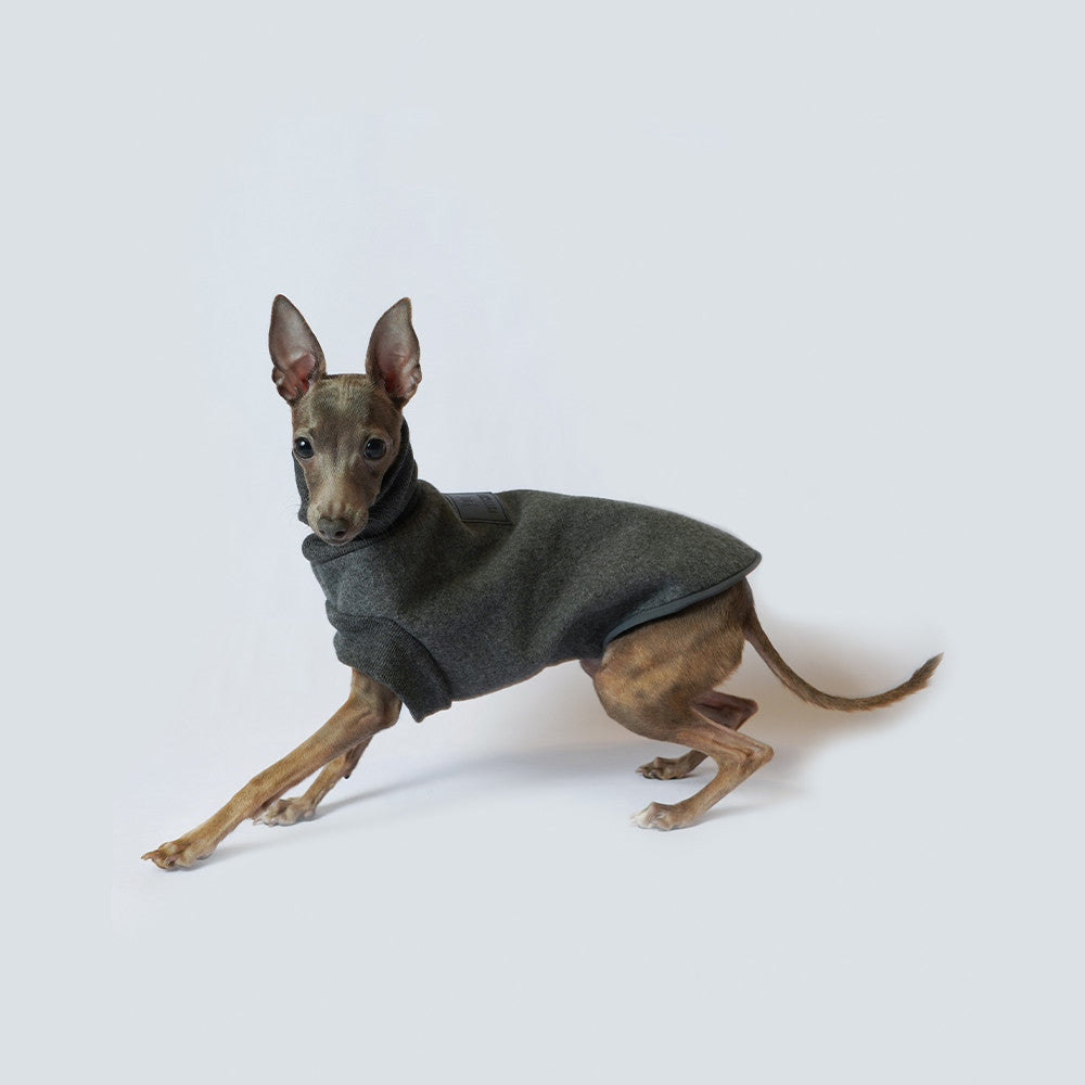 Dog Coat Thickened And Windproof