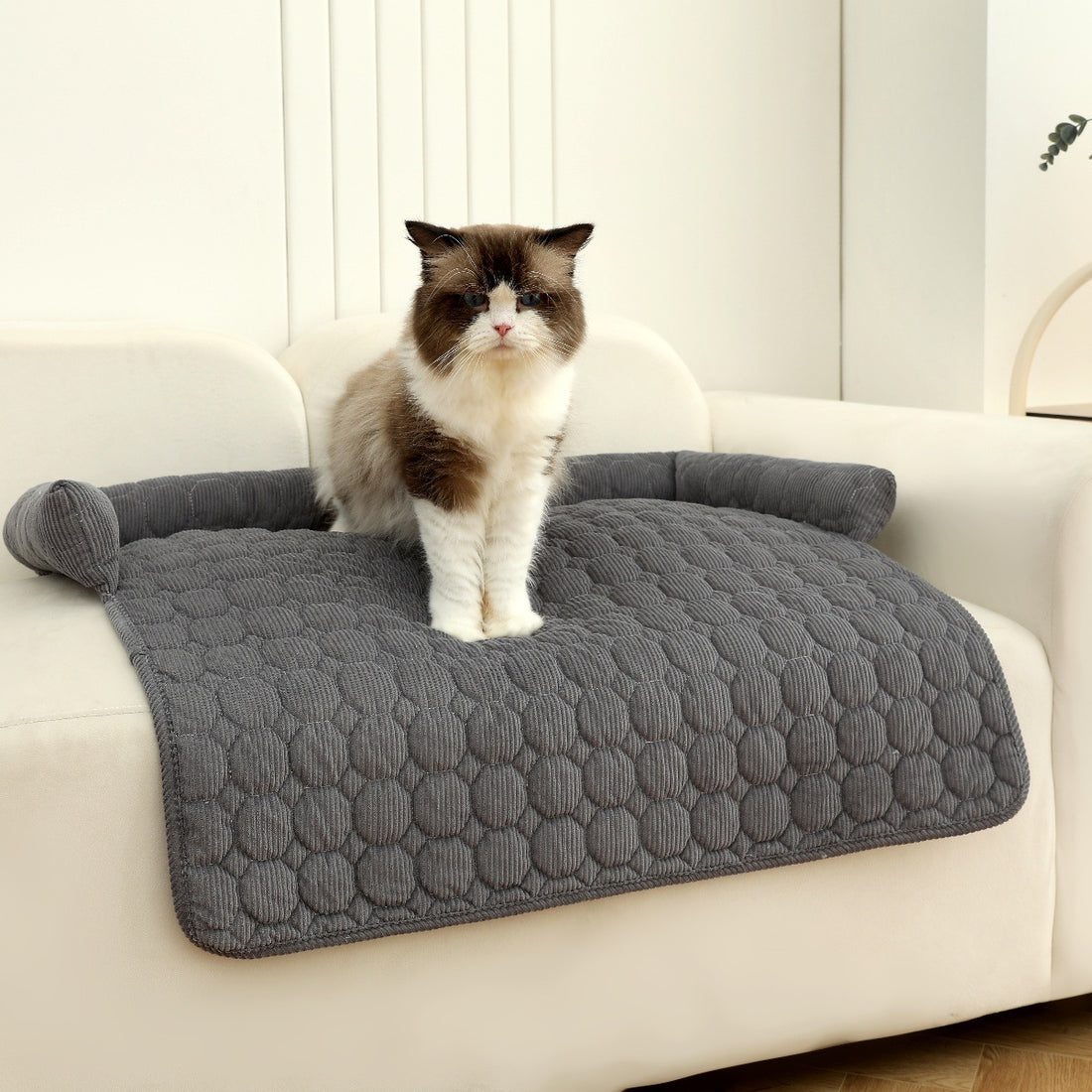 Corduroy Pet Dog Cat Bed