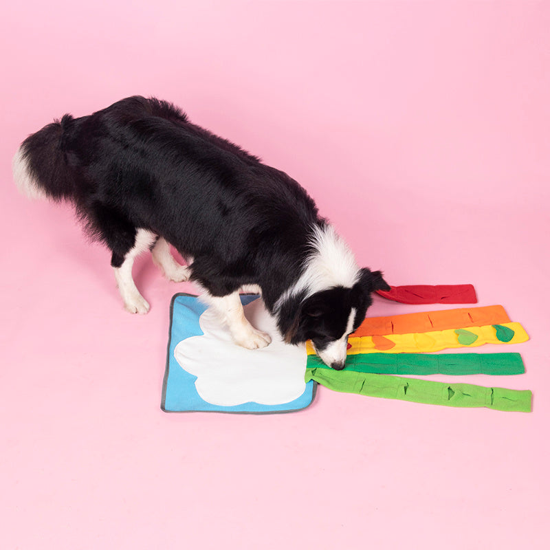 Pet Toy Natural Foraging Skills