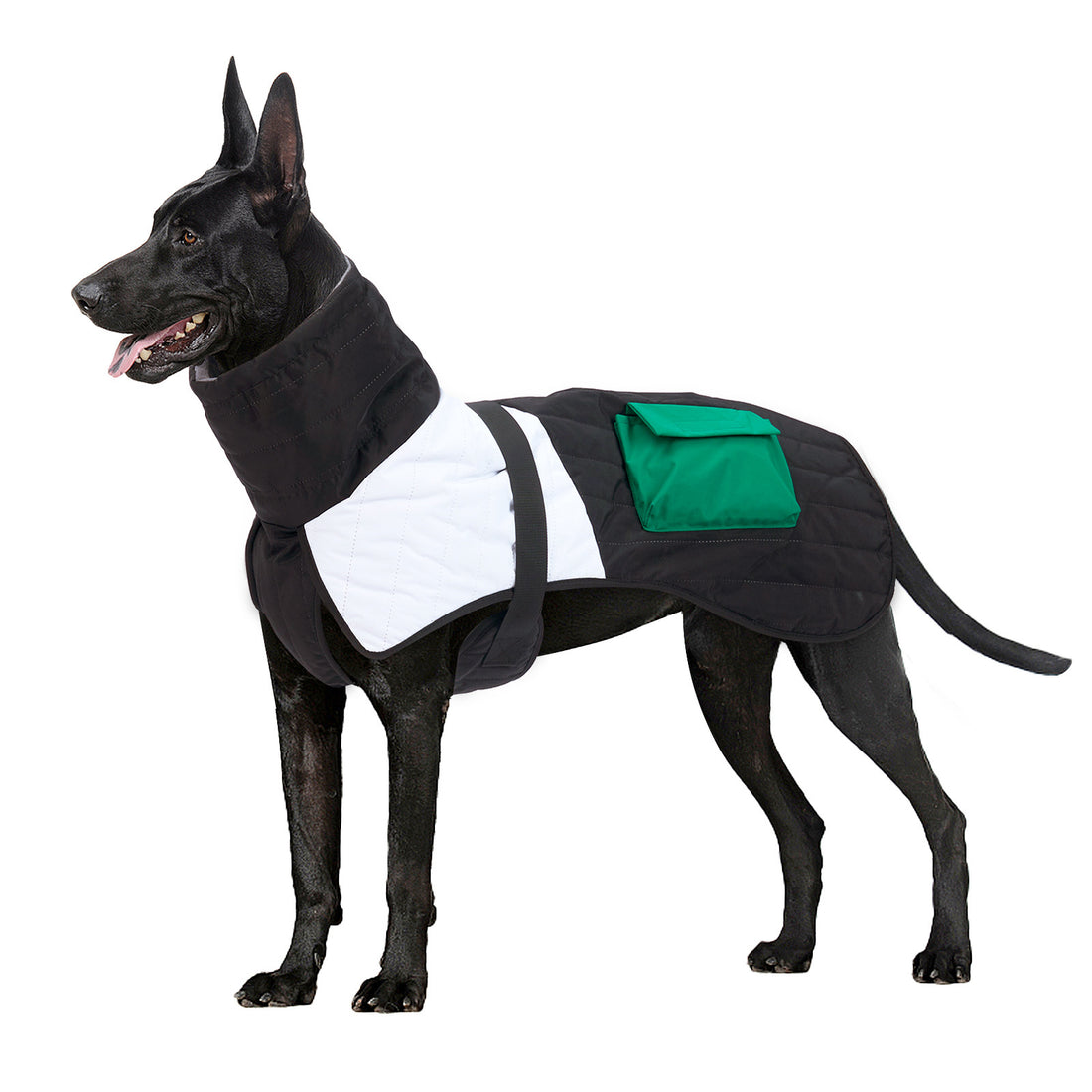 Warm Dog Padded Winter Coat