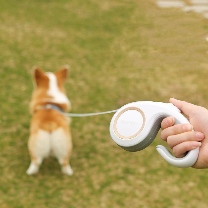 Pet Dog Supplies Retractable Leash