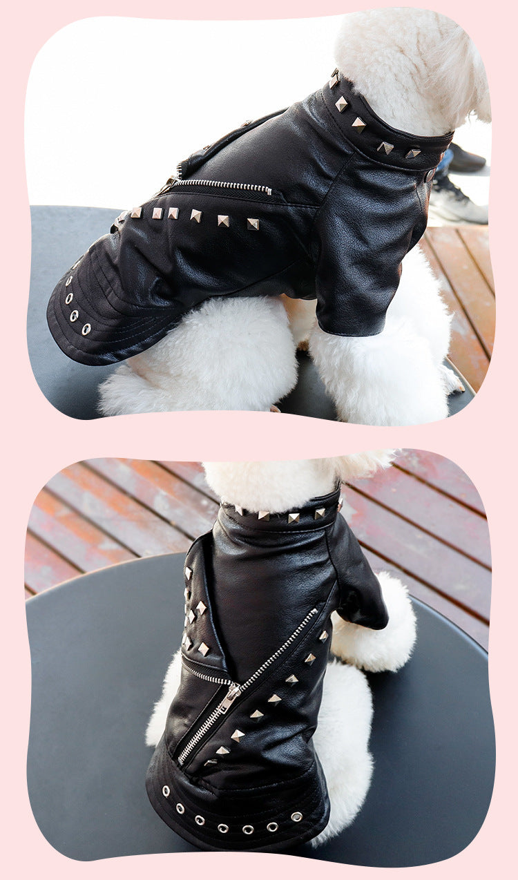 Dog Fashion Brand Clothes