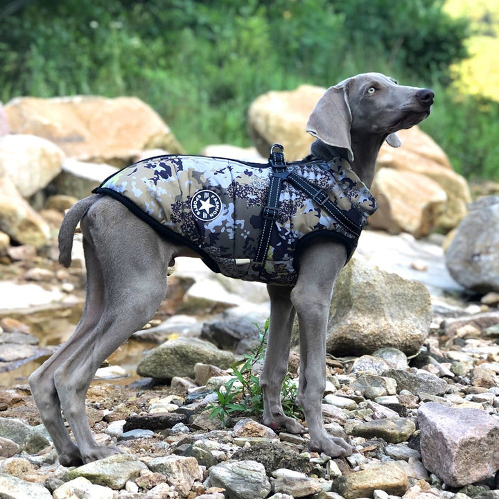 Winter Camouflage Shell Jacket